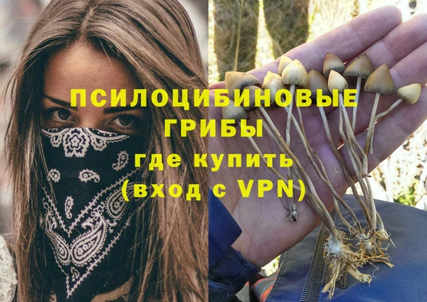 a pvp Алексин