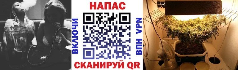где продают   Ревда  Бошки марихуана индика 